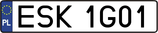 ESK1G01