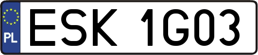 ESK1G03