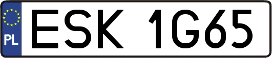 ESK1G65