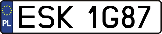 ESK1G87