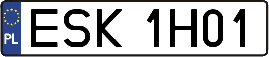 ESK1H01