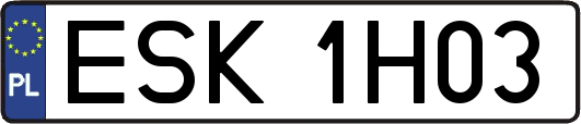 ESK1H03