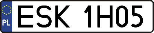 ESK1H05