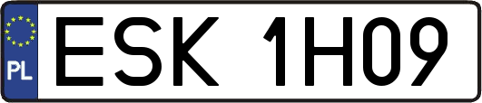 ESK1H09