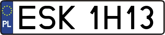 ESK1H13