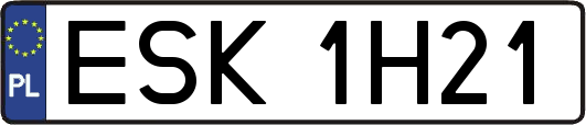 ESK1H21