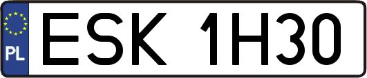ESK1H30