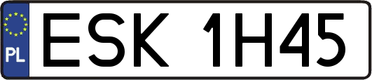 ESK1H45