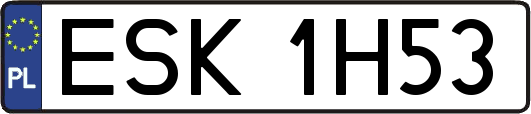 ESK1H53