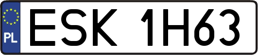 ESK1H63