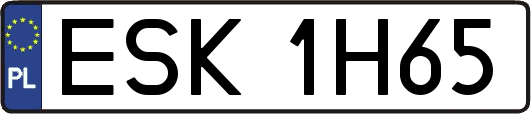 ESK1H65
