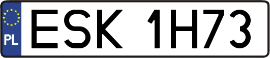 ESK1H73