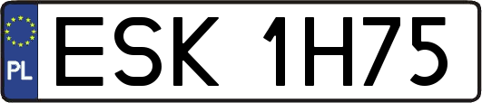 ESK1H75