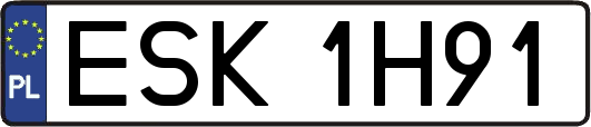 ESK1H91