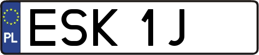 ESK1J