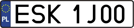 ESK1J00