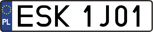 ESK1J01
