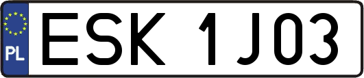 ESK1J03