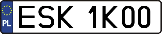 ESK1K00