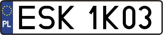 ESK1K03