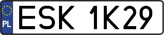 ESK1K29