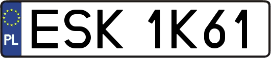 ESK1K61