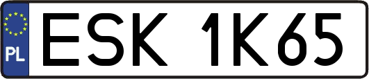 ESK1K65