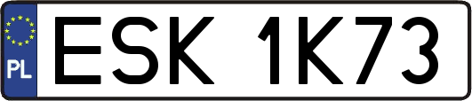 ESK1K73
