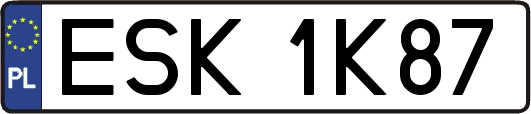 ESK1K87