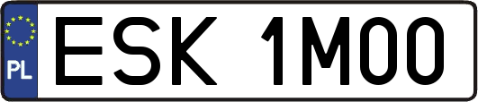 ESK1M00