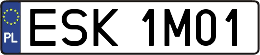 ESK1M01