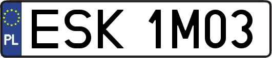 ESK1M03