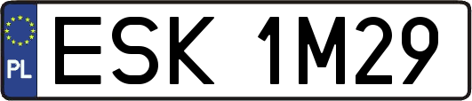 ESK1M29