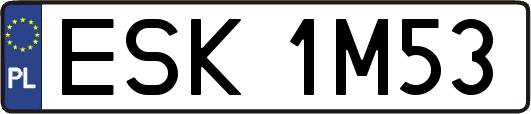 ESK1M53