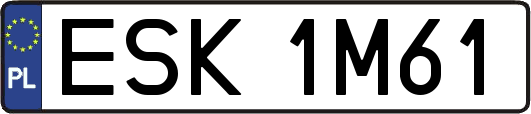ESK1M61