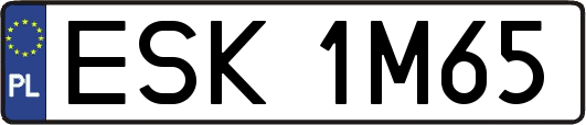 ESK1M65