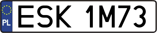 ESK1M73