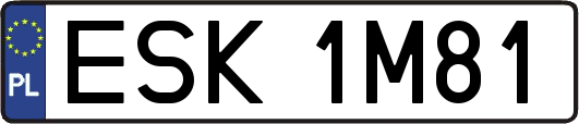 ESK1M81