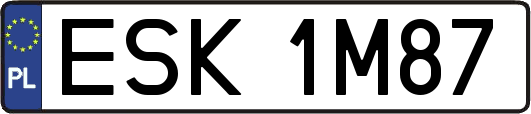 ESK1M87