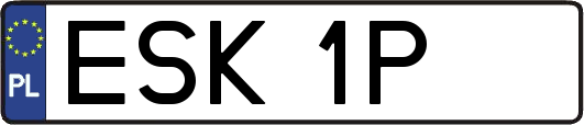 ESK1P