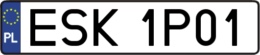 ESK1P01