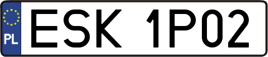 ESK1P02