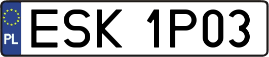 ESK1P03