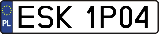 ESK1P04