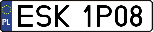 ESK1P08