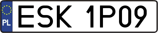 ESK1P09