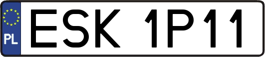 ESK1P11