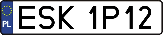 ESK1P12