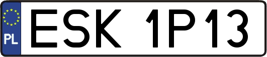ESK1P13