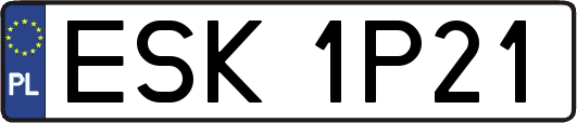 ESK1P21